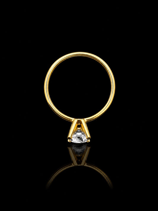 Anillo compromiso
