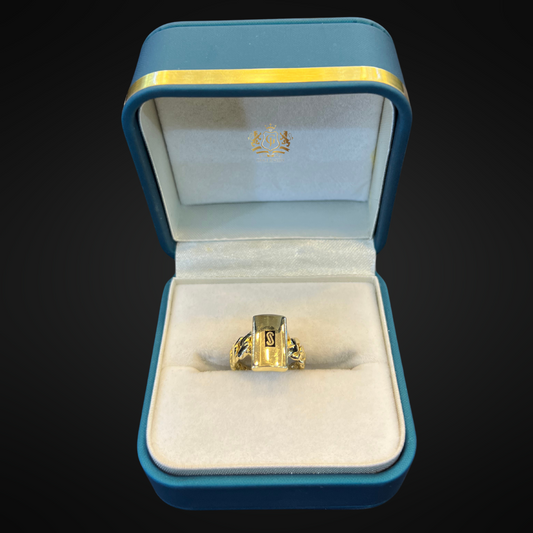 Anillo Mónaco Chain 10K