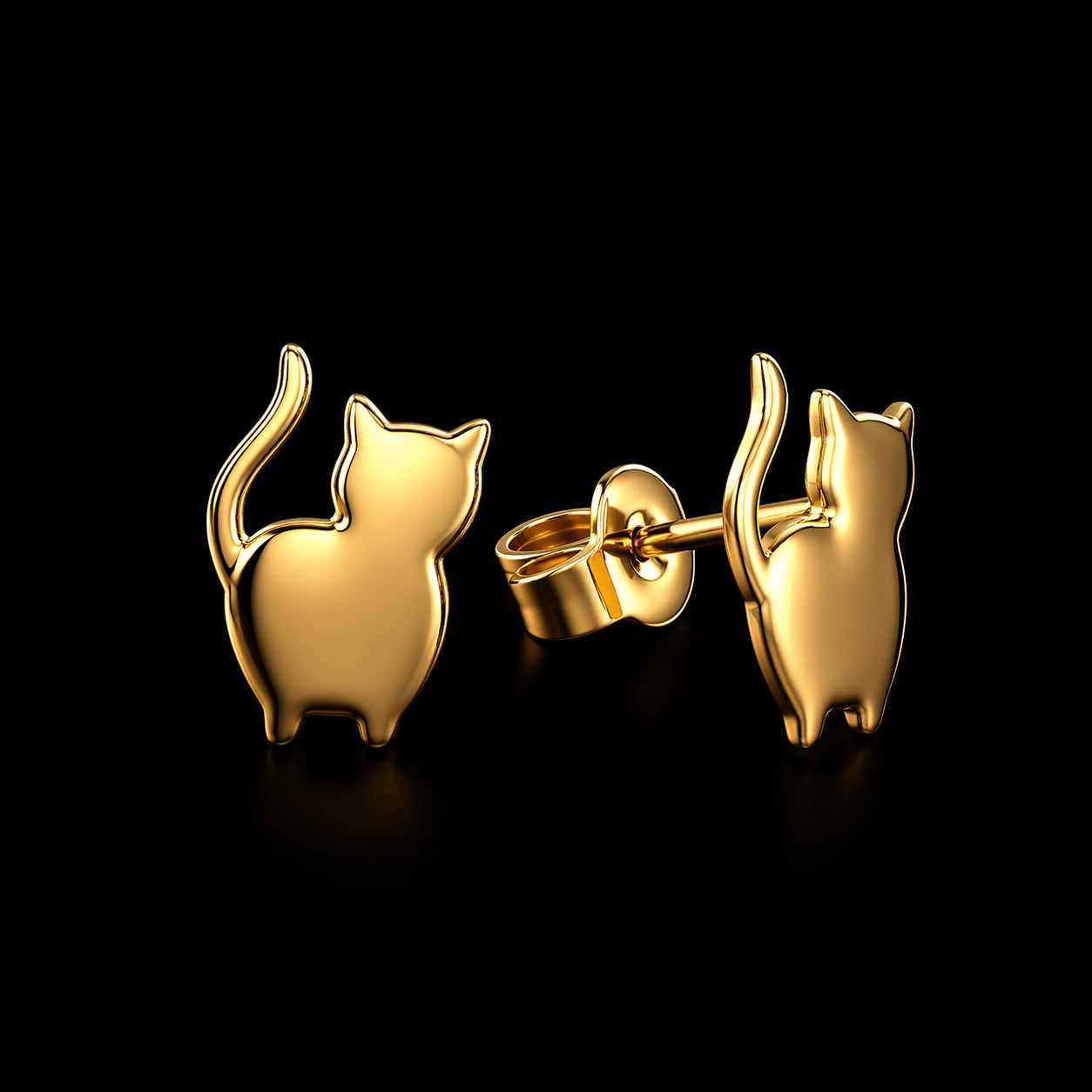 Aretes de Gato