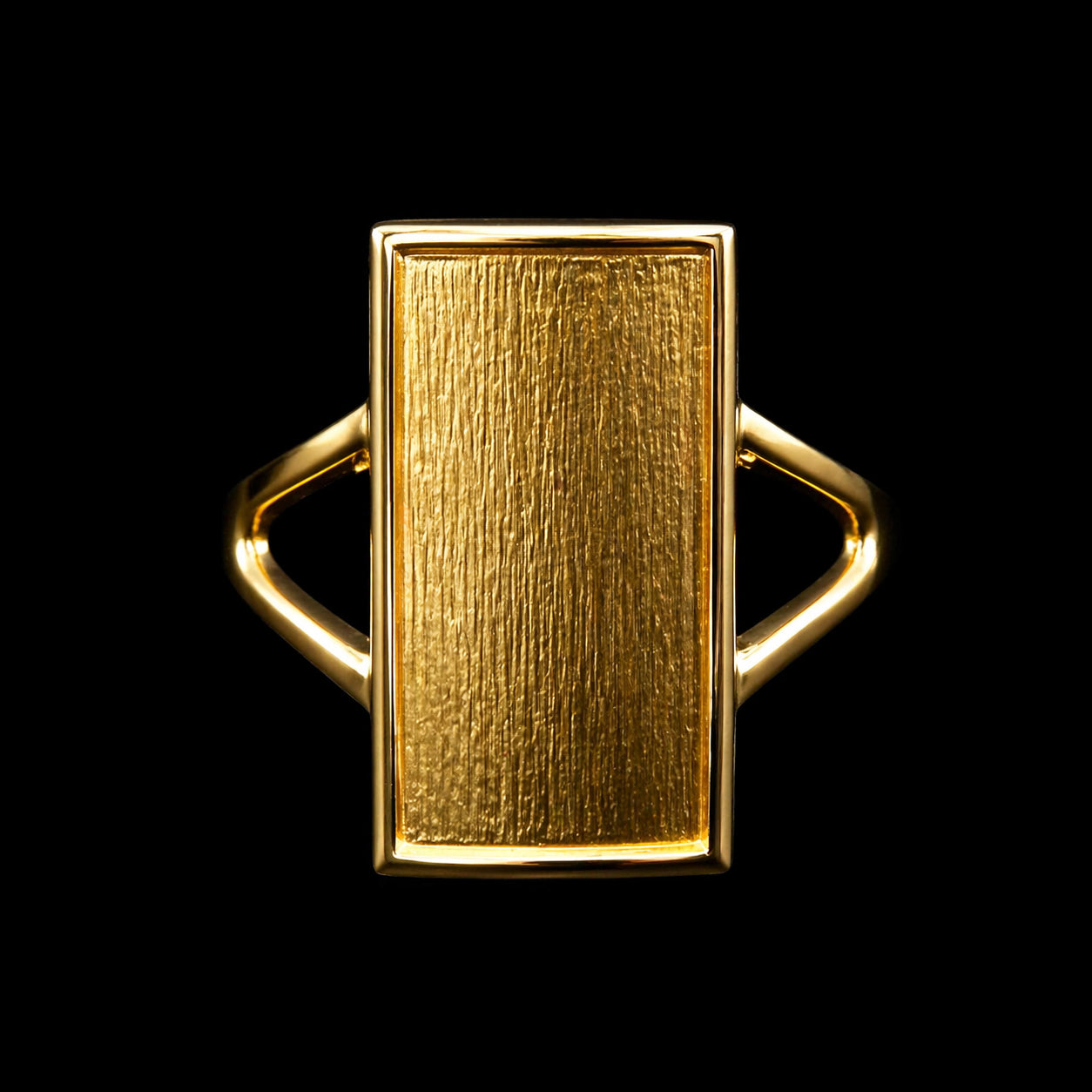 Anillo Placa