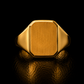 Anillo caballero