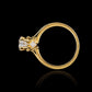 Anillo compromiso