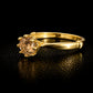 Anillo compromiso