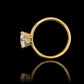 Anillo compromiso