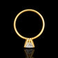 Anillo compromiso